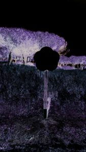 Resultado poste naturaleza