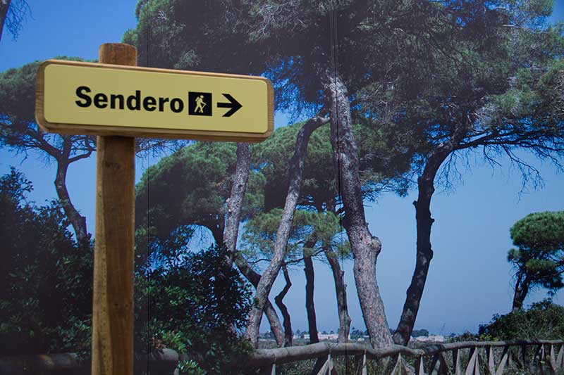 Señal de sendero