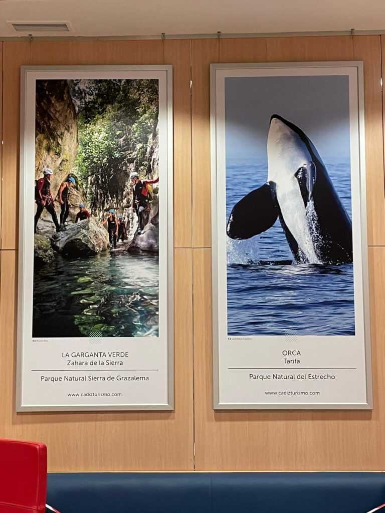 carteles